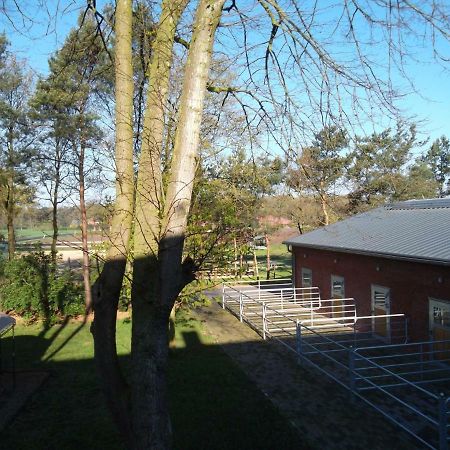 Ferienwohnung Friesenstall Heede Luaran gambar